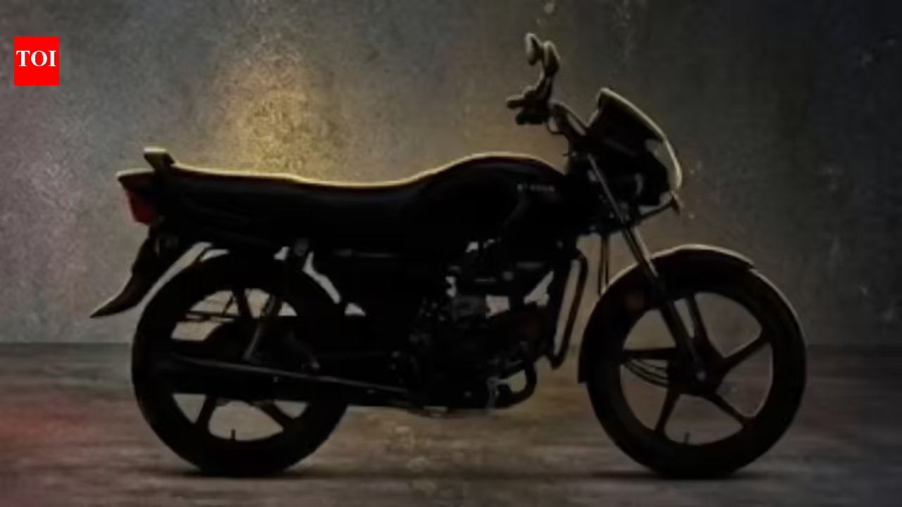 Hero MotoCorp's first ethanol-powered bike to be launched on June 3: Details